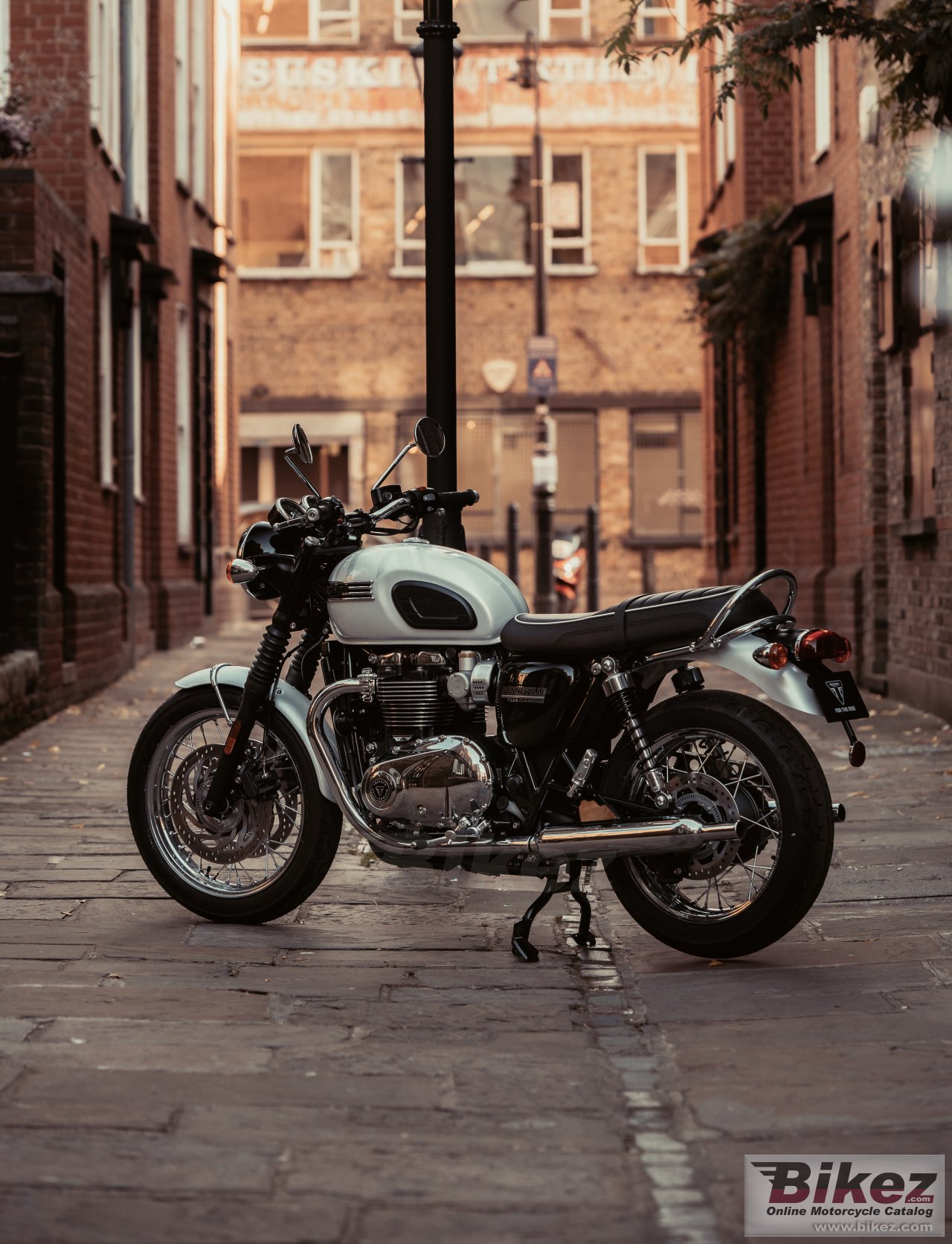 Thumbnail for Triumph Bonneville T120 Diamond Edition 2019
