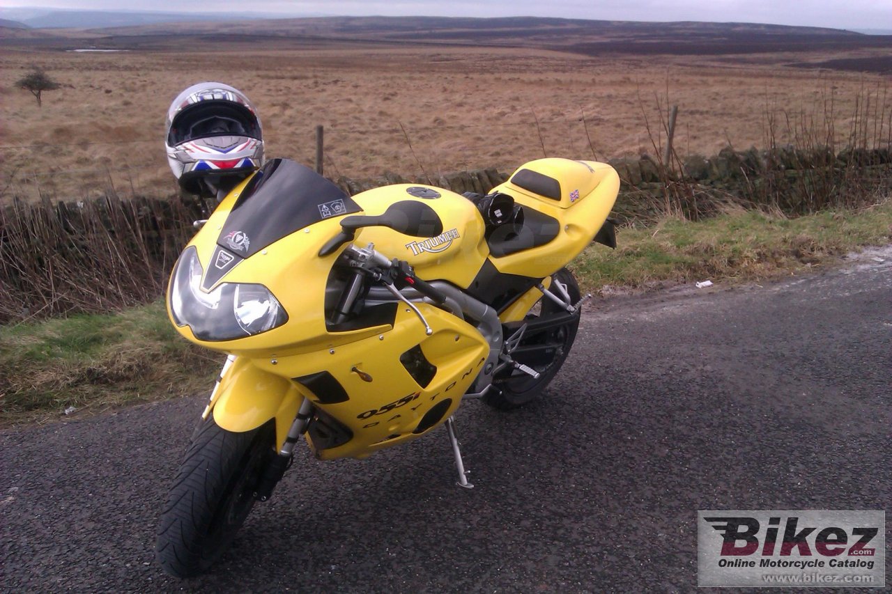 Thumbnail for Triumph Daytona 955i 2003