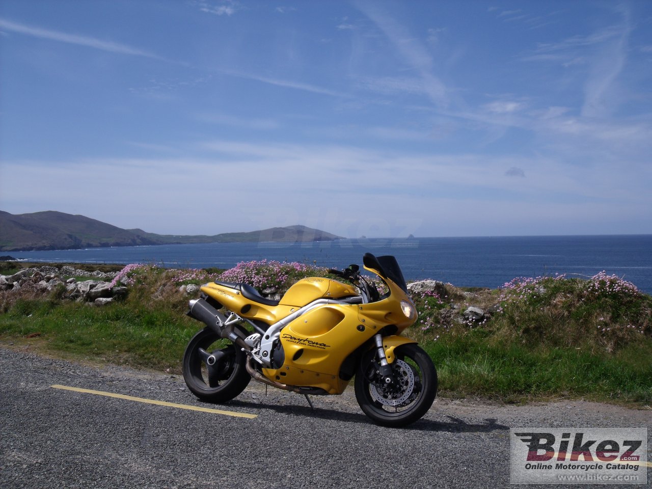Thumbnail for Triumph Daytona T595 1997