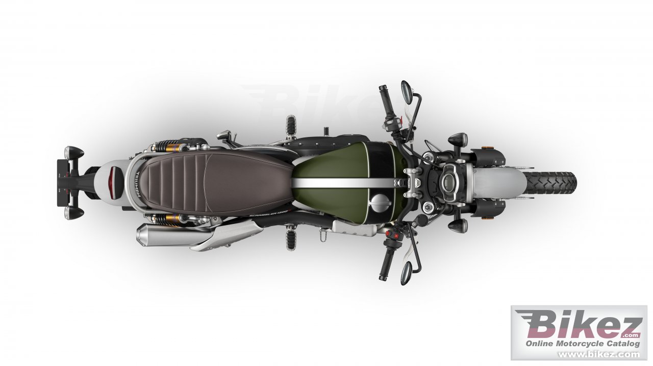Thumbnail for Triumph Scrambler 1200 Steve Mcqueen 2021