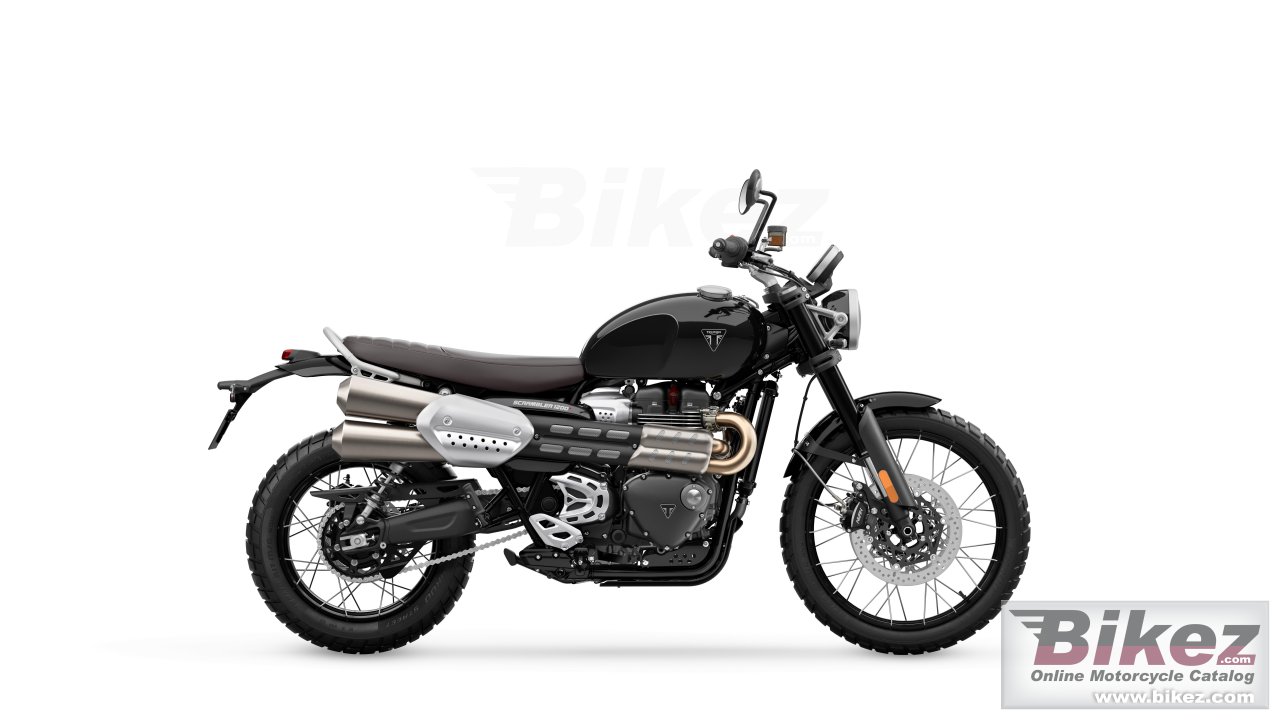 Thumbnail for Triumph Scrambler 1200 X 2024