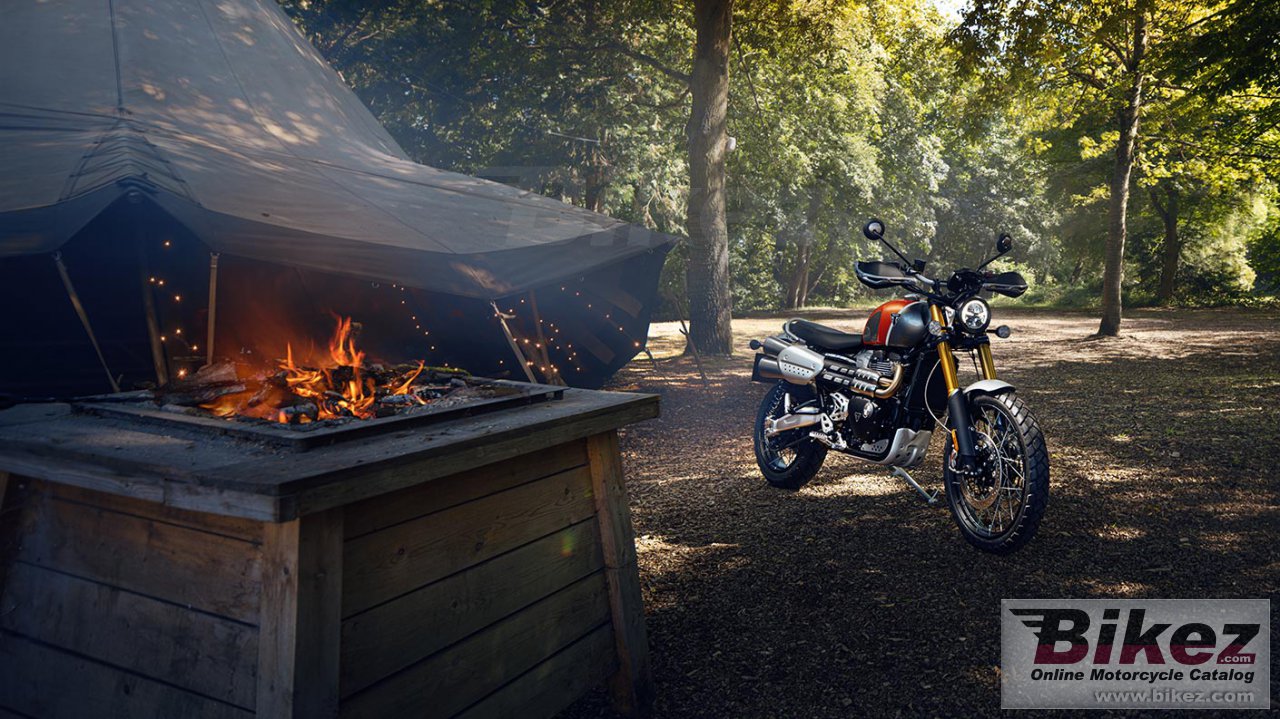 Thumbnail for Triumph Scrambler 1200 XE Gold Line 2023