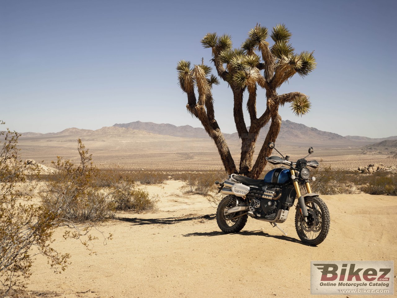 Thumbnail for Triumph Scrambler 1200XE 2020