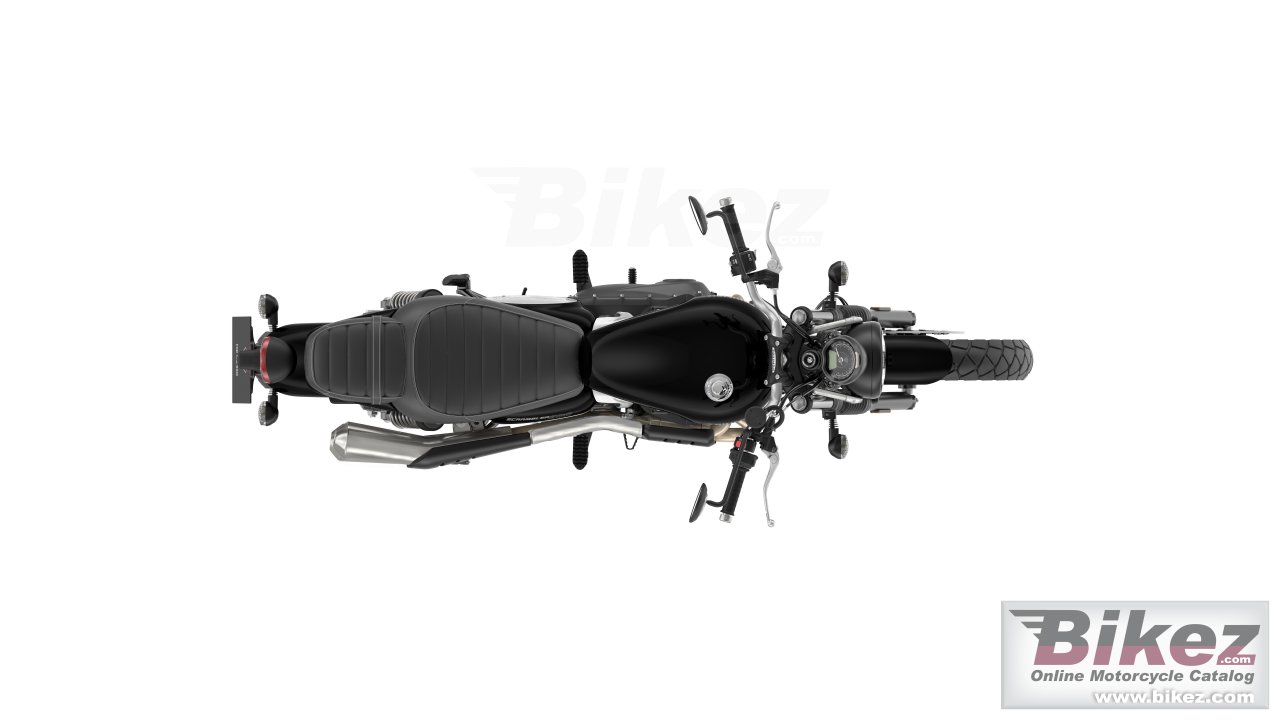 Thumbnail for Triumph Scrambler 900 2024