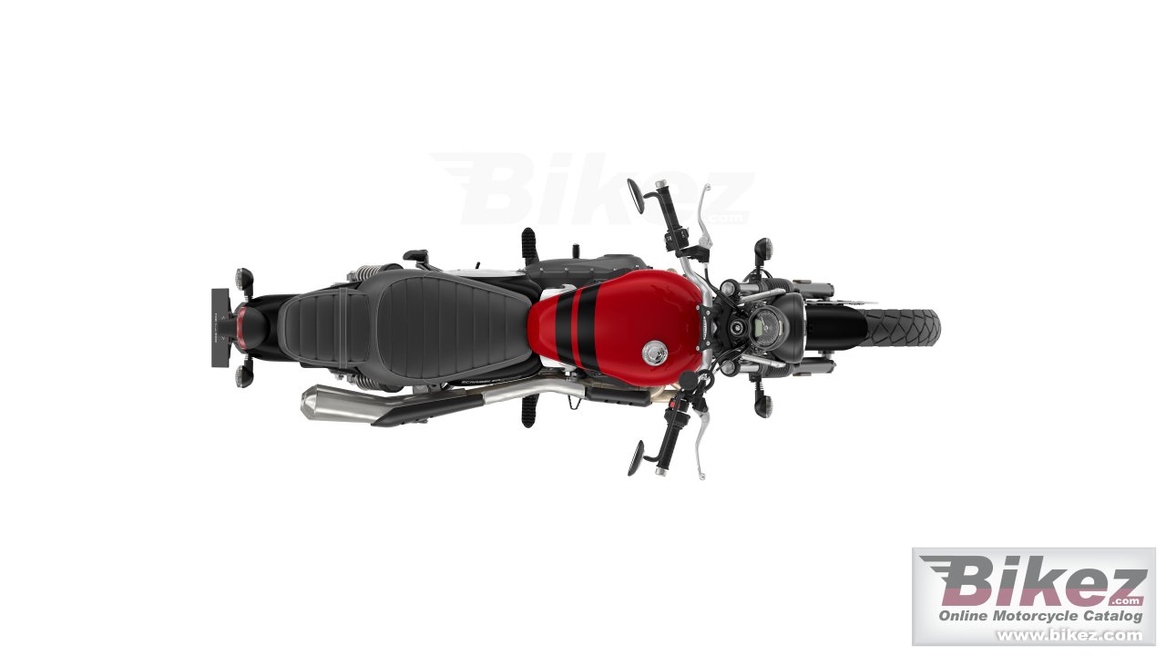 Thumbnail for Triumph Scrambler 900 2024