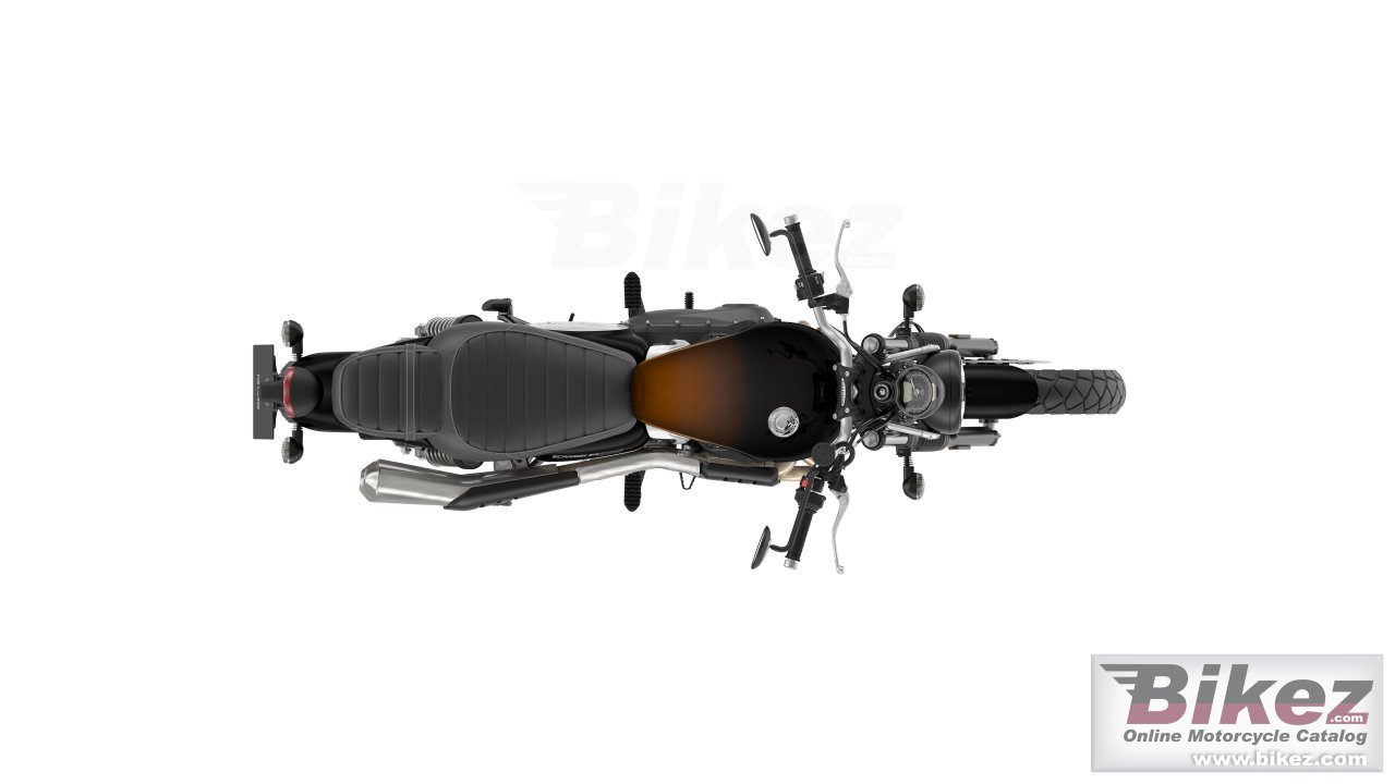 Thumbnail for Triumph Scrambler 900 Orange Stealth Edition 2024