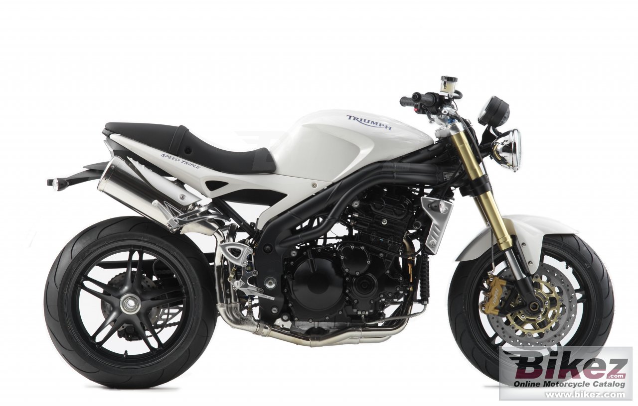 Thumbnail for Triumph Speed Triple 2006