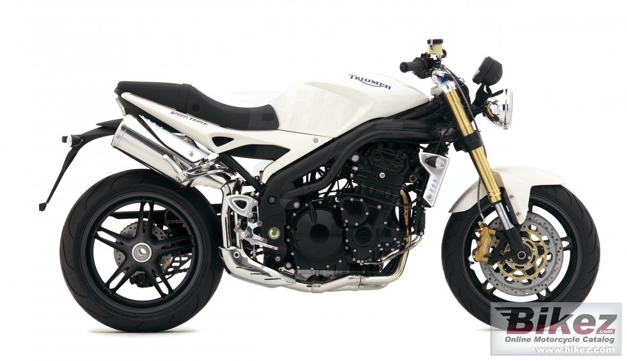 Thumbnail for Triumph Speed Triple 2007