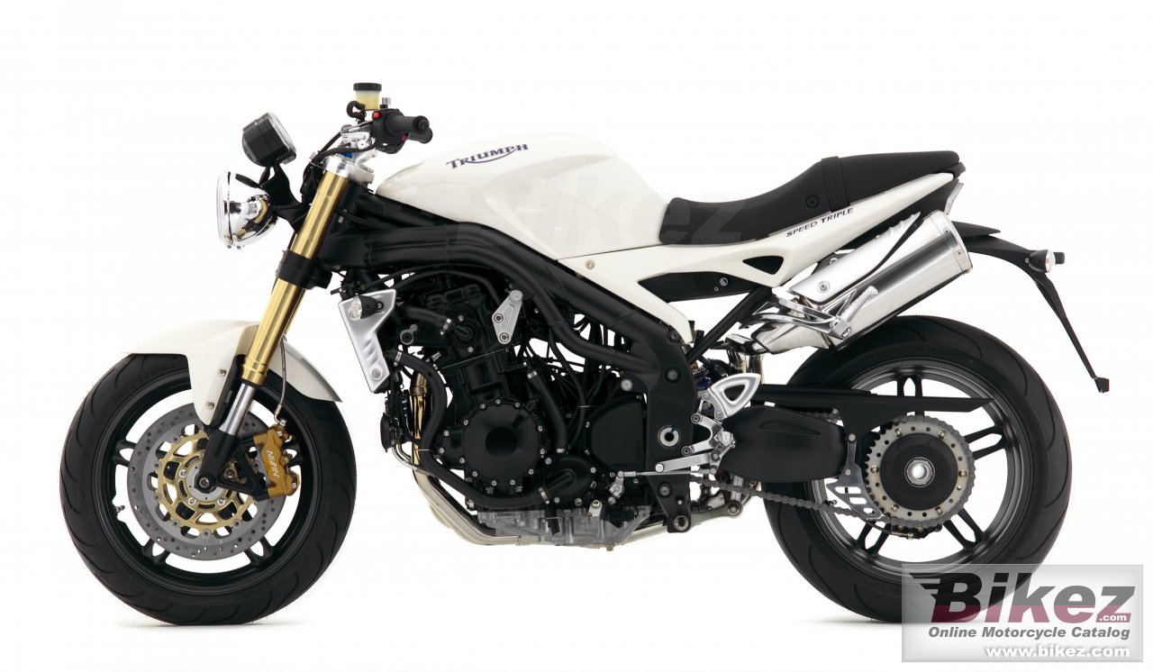 Thumbnail for Triumph Speed Triple 2007