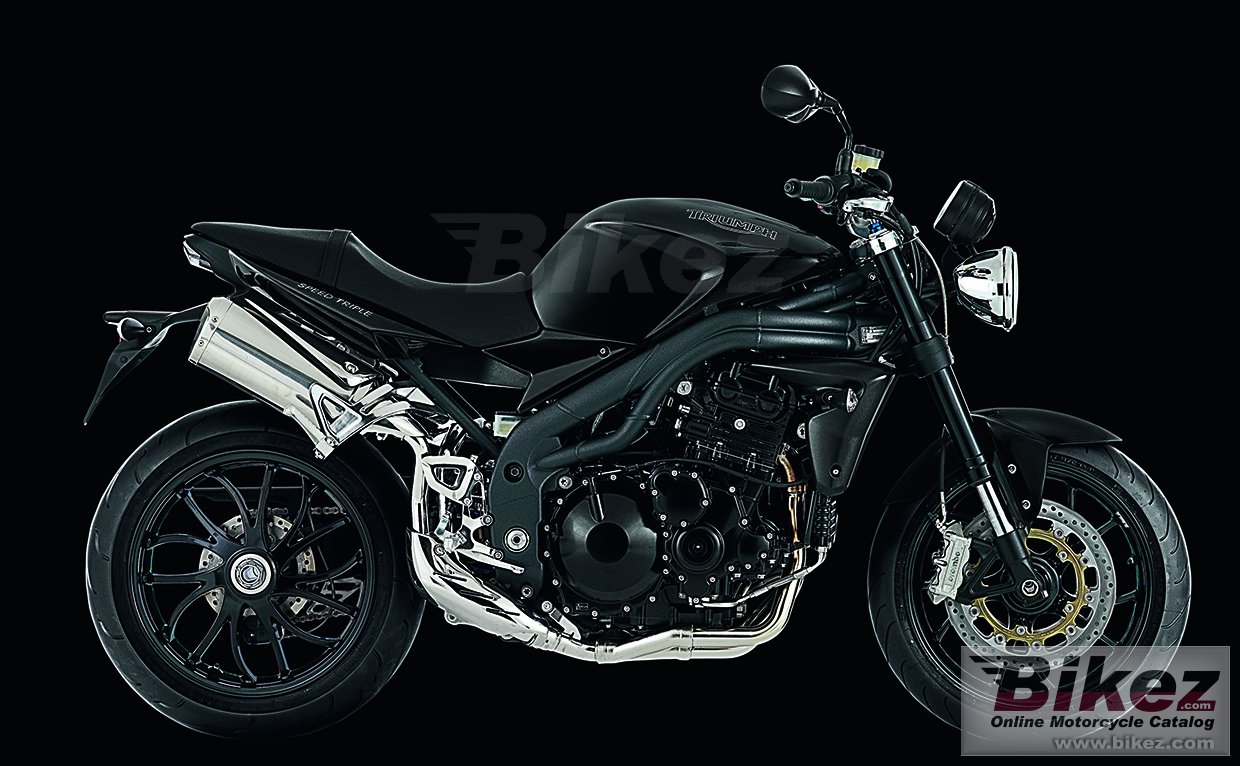 Thumbnail for Triumph Speed Triple 2010