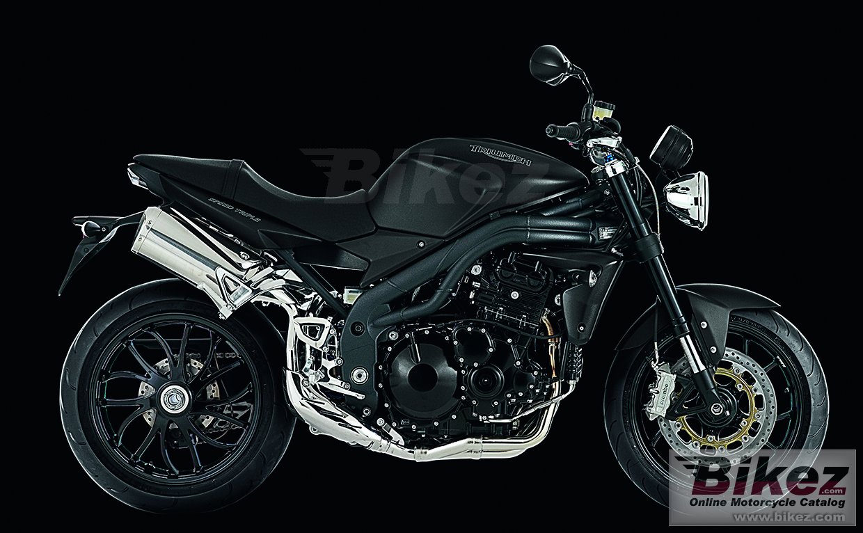 Thumbnail for Triumph Speed Triple 2010