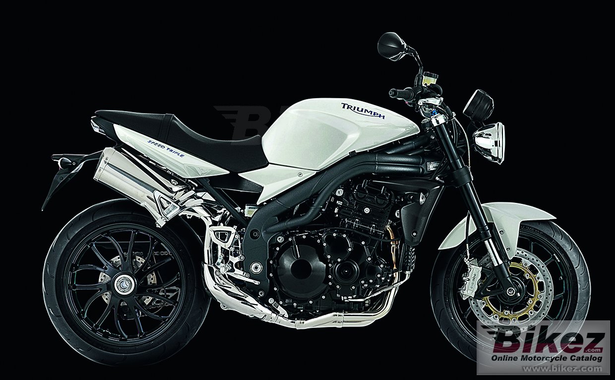 Thumbnail for Triumph Speed Triple 2010