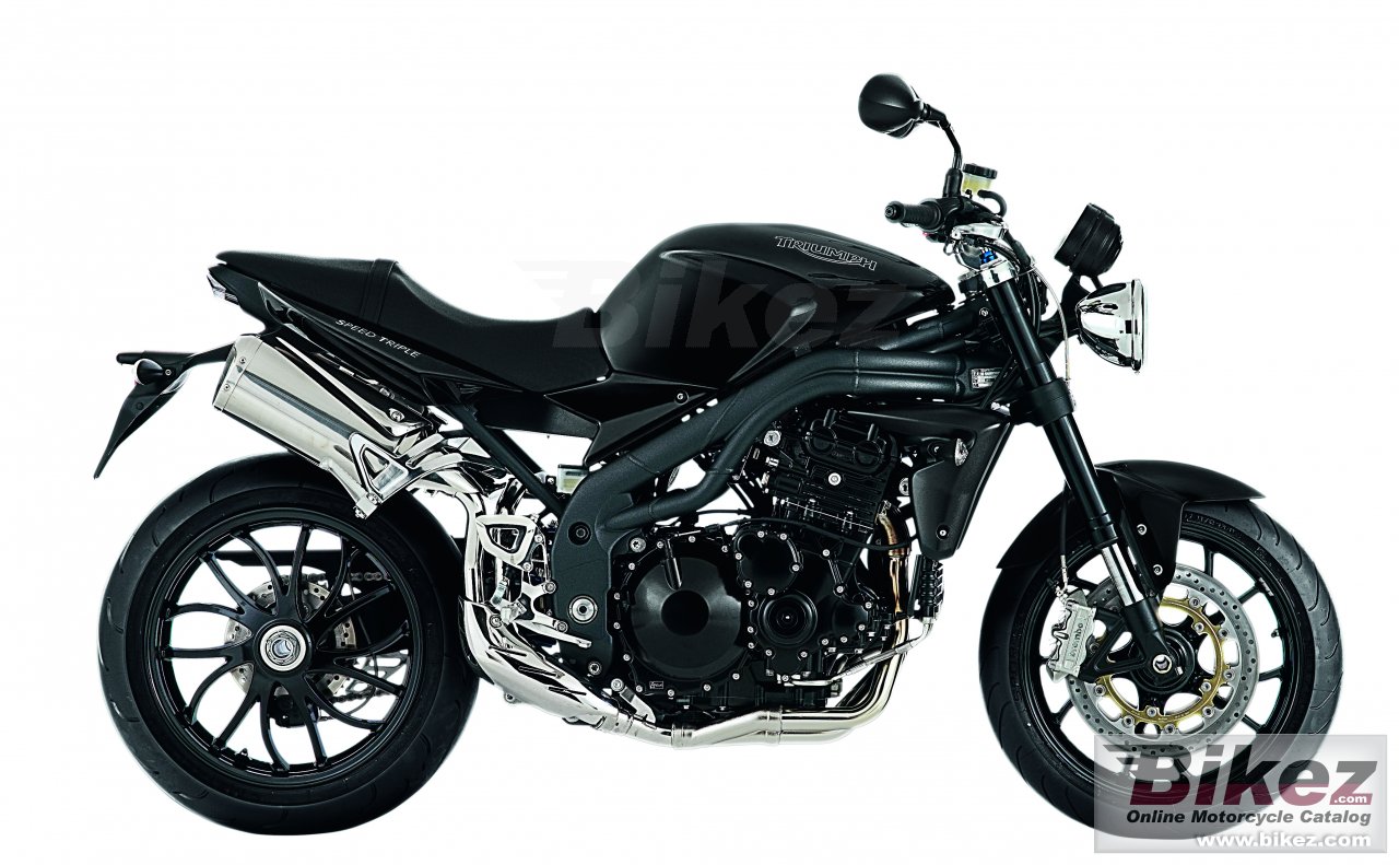 Thumbnail for Triumph Speed Triple 2010