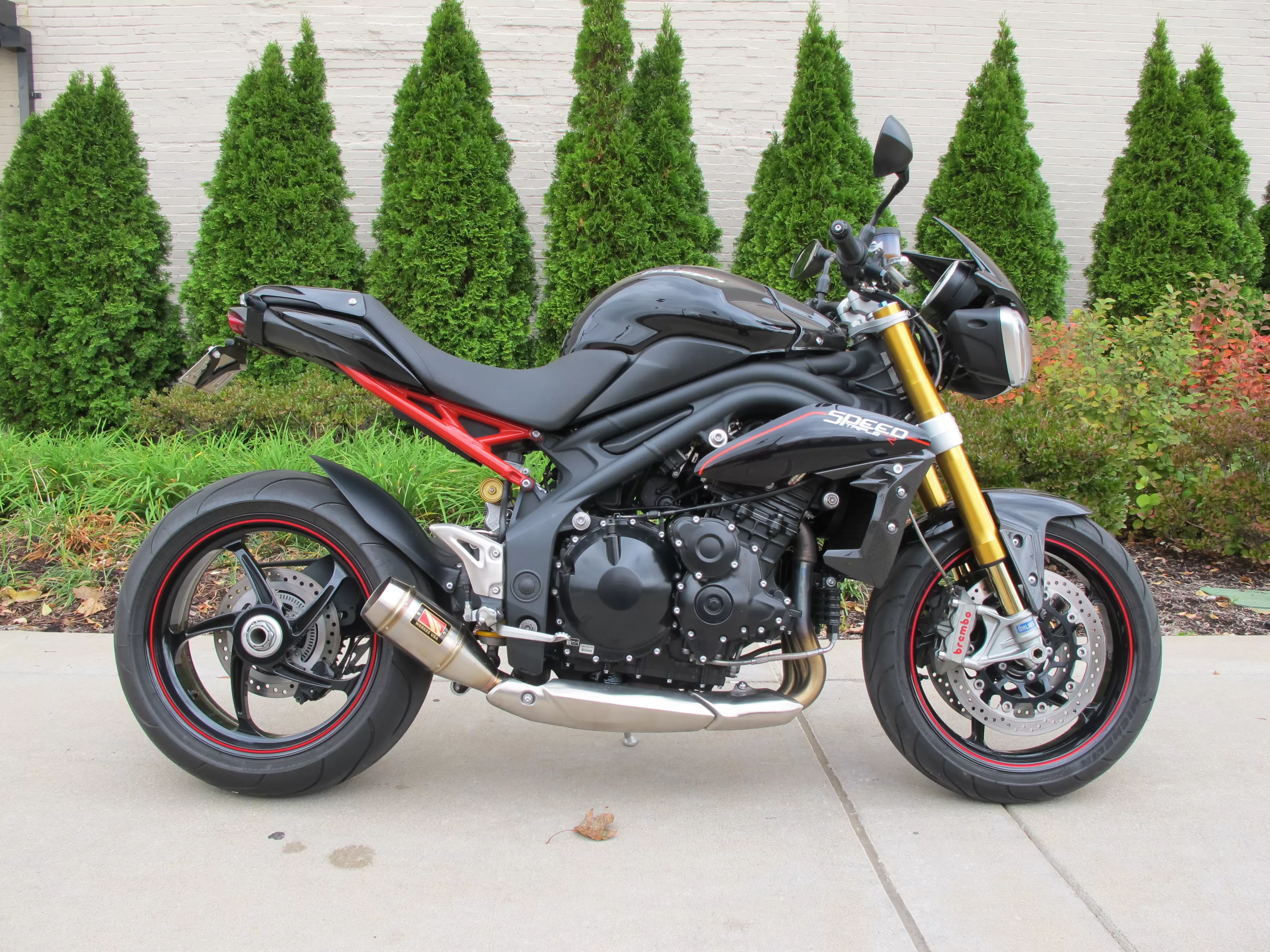 Thumbnail for Triumph Speed Triple 2012