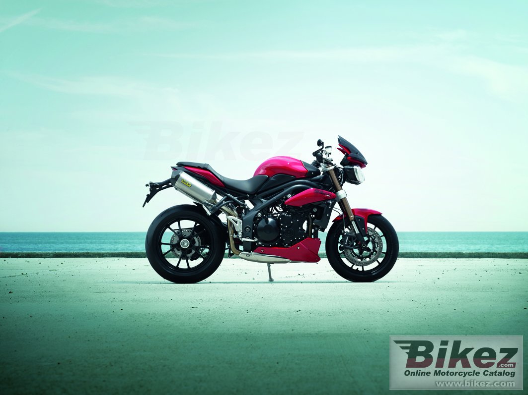 Thumbnail for Triumph Speed Triple 2013