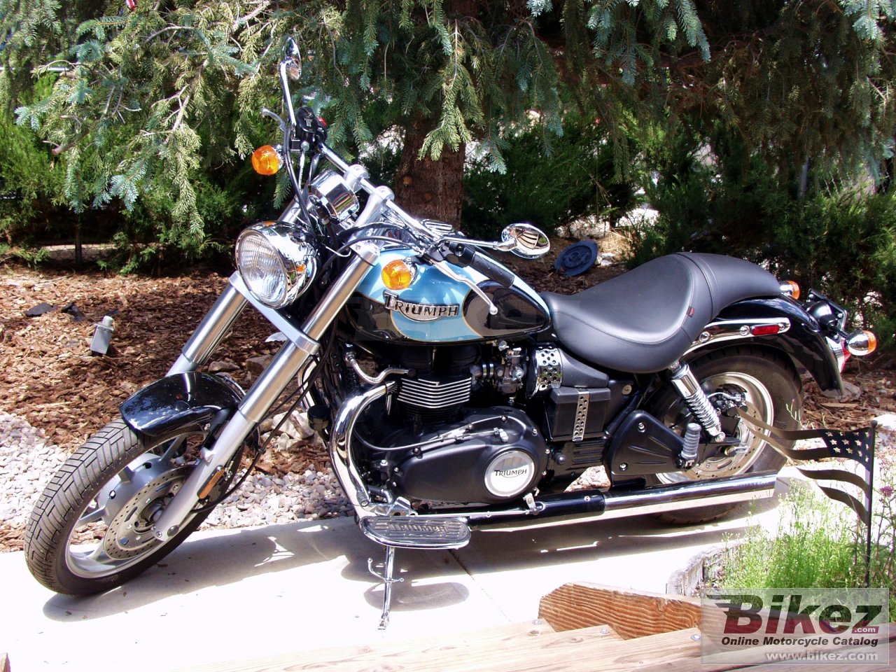 Thumbnail for Triumph Speedmaster 2004