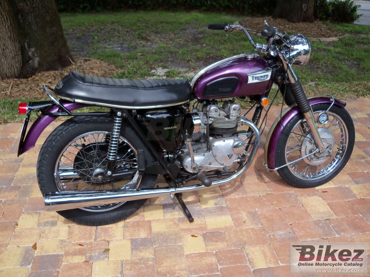 Triumph T100C