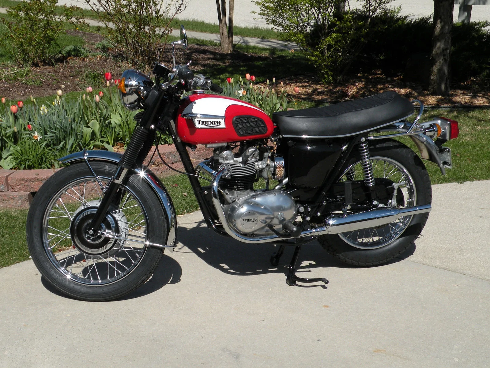 Triumph T 100 R Daytona