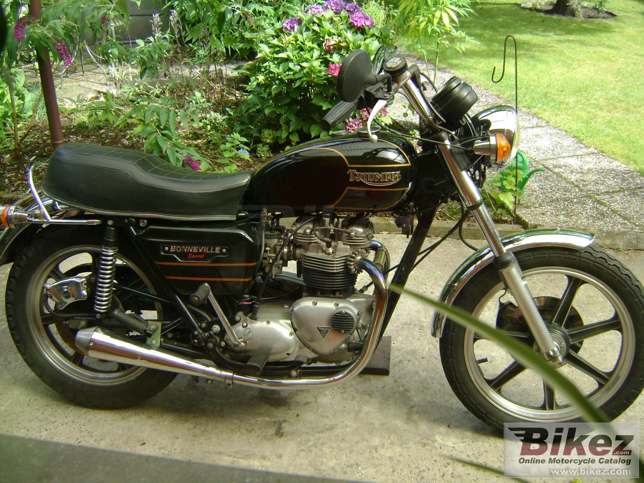 Thumbnail for Triumph T 140 V Bonneville Special 1979
