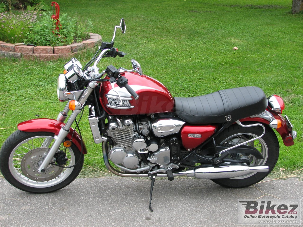 Triumph Thunderbird
