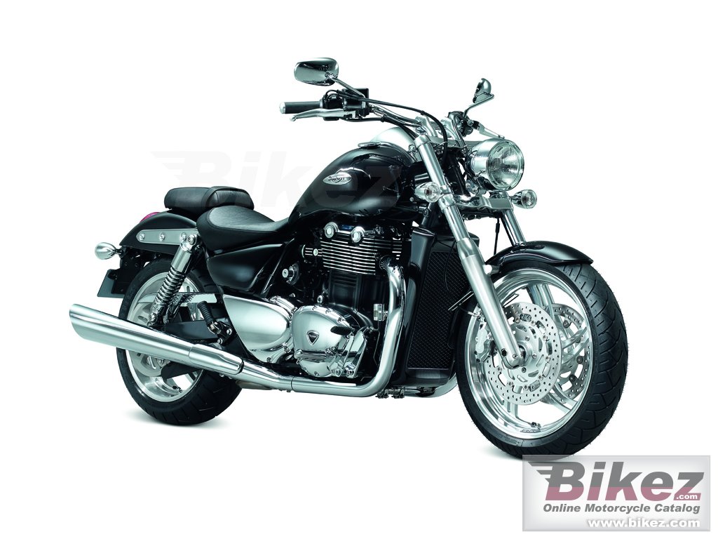 Triumph Thunderbird