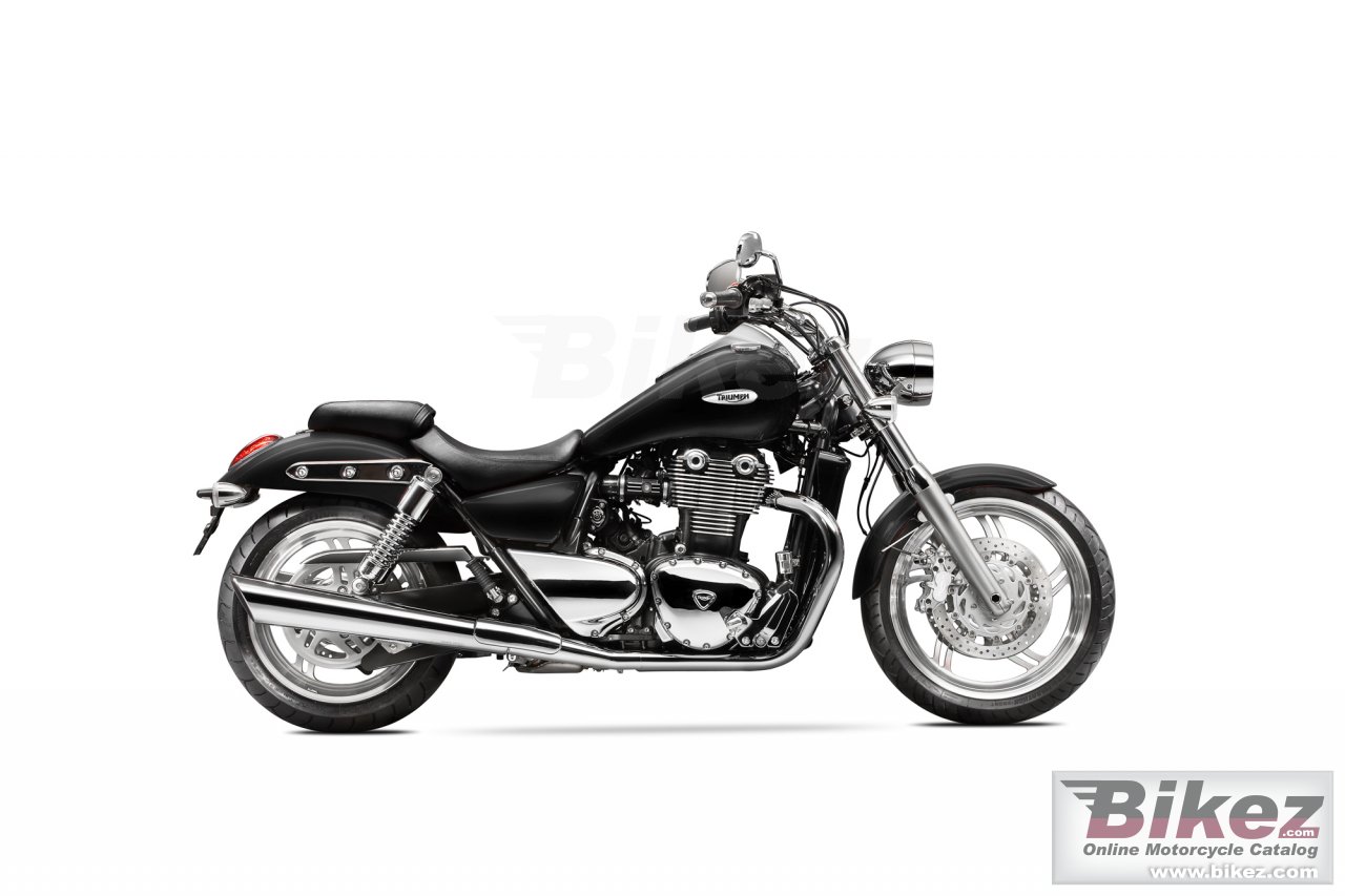 Triumph Thunderbird