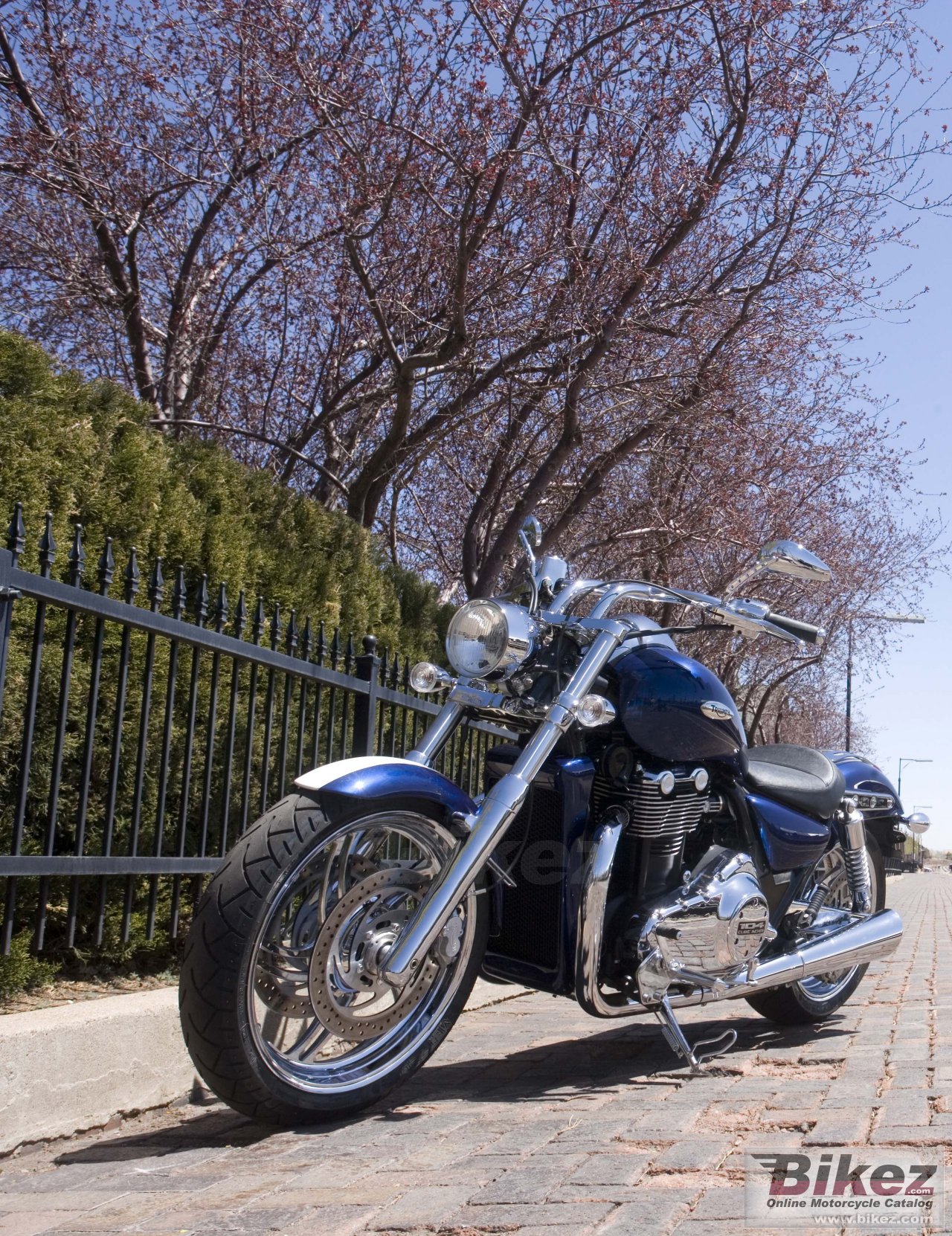 Thumbnail for Triumph Thunderbird 1600 2009