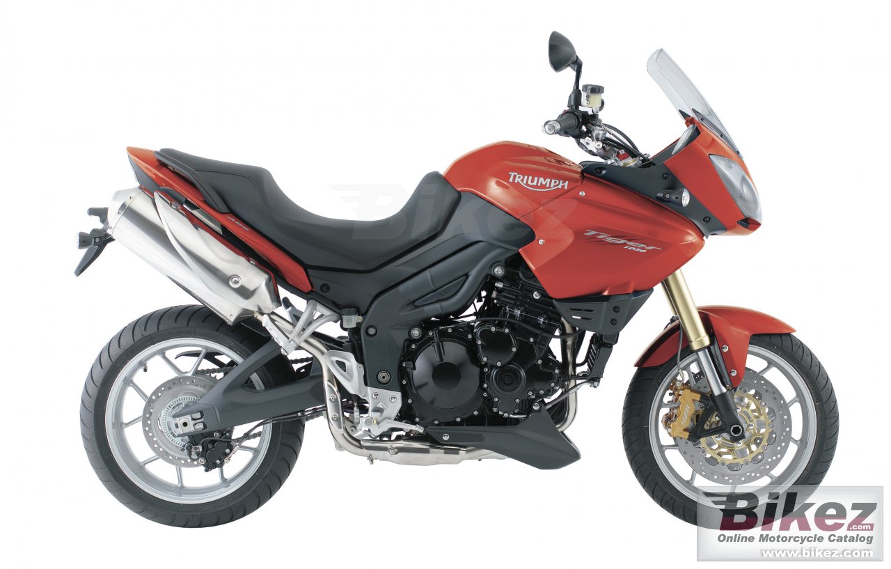 Thumbnail for Triumph Tiger 2008