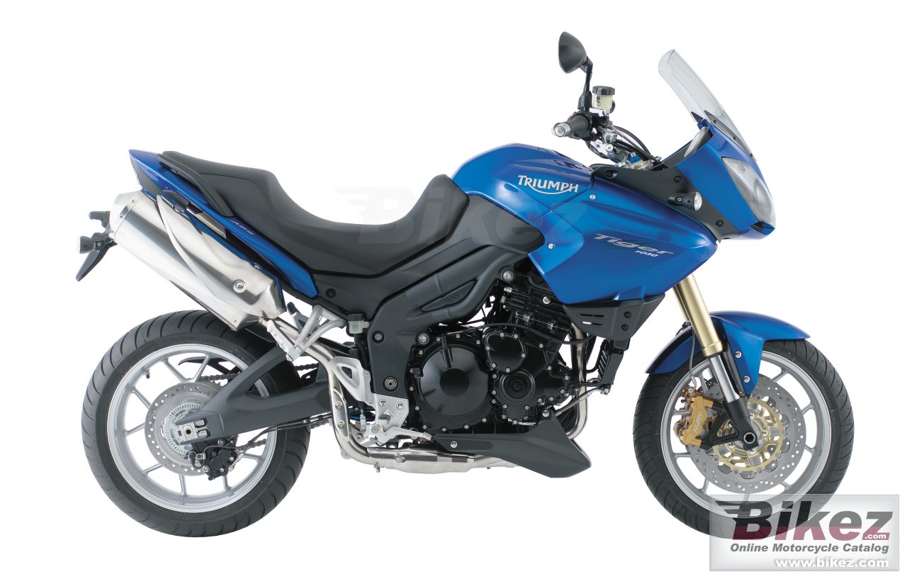 Thumbnail for Triumph Tiger 2008