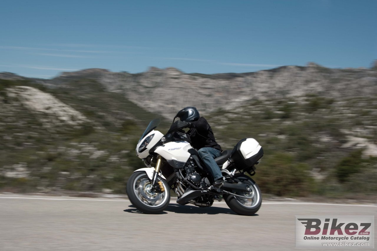 Thumbnail for Triumph Tiger 2009