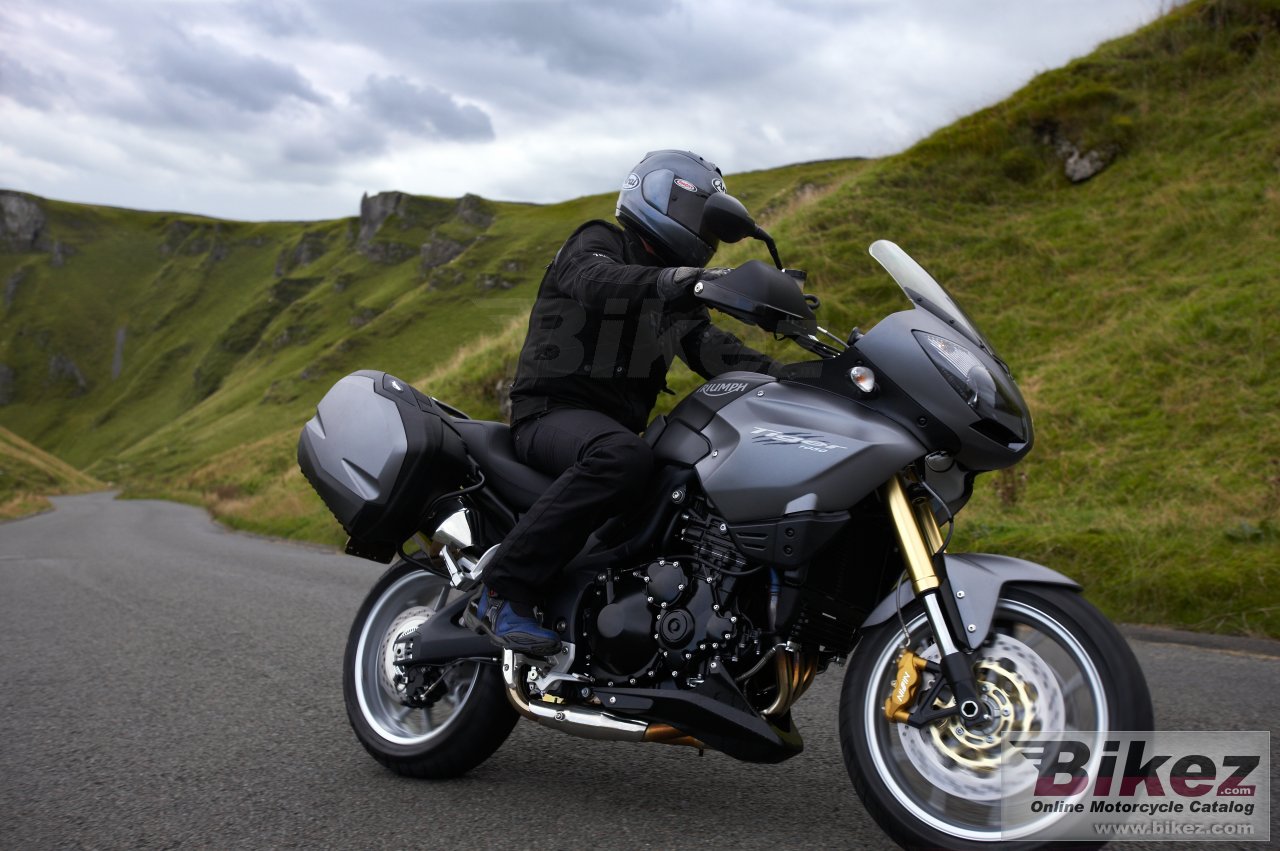 Thumbnail for Triumph Tiger 2009