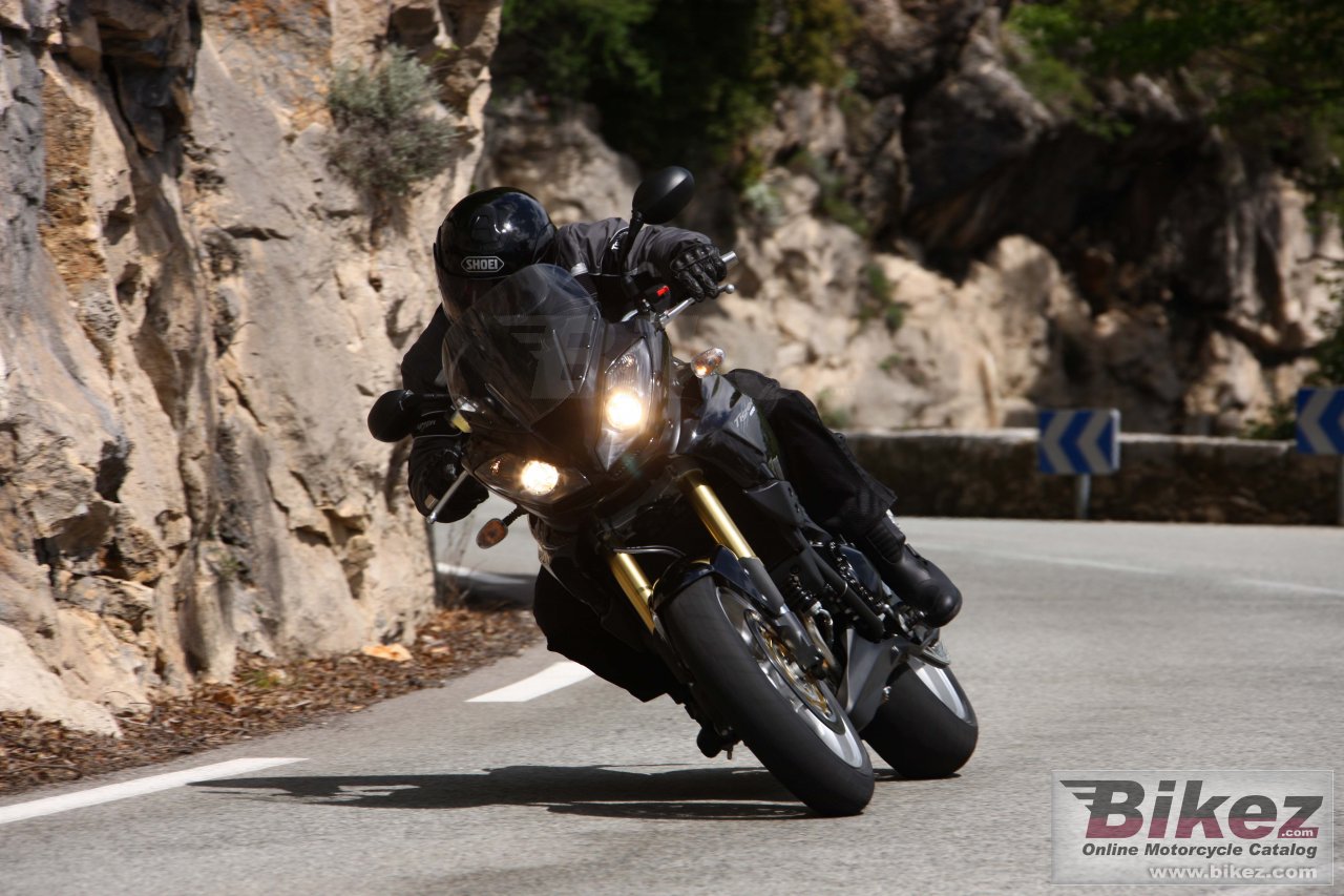 Thumbnail for Triumph Tiger 2009