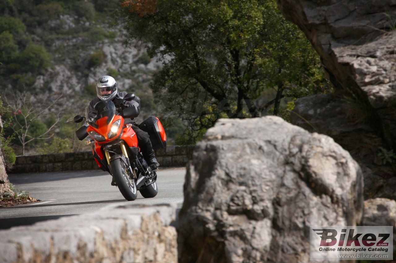 Thumbnail for Triumph Tiger 2009