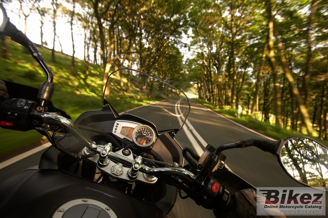 Thumbnail for Triumph Tiger 2009