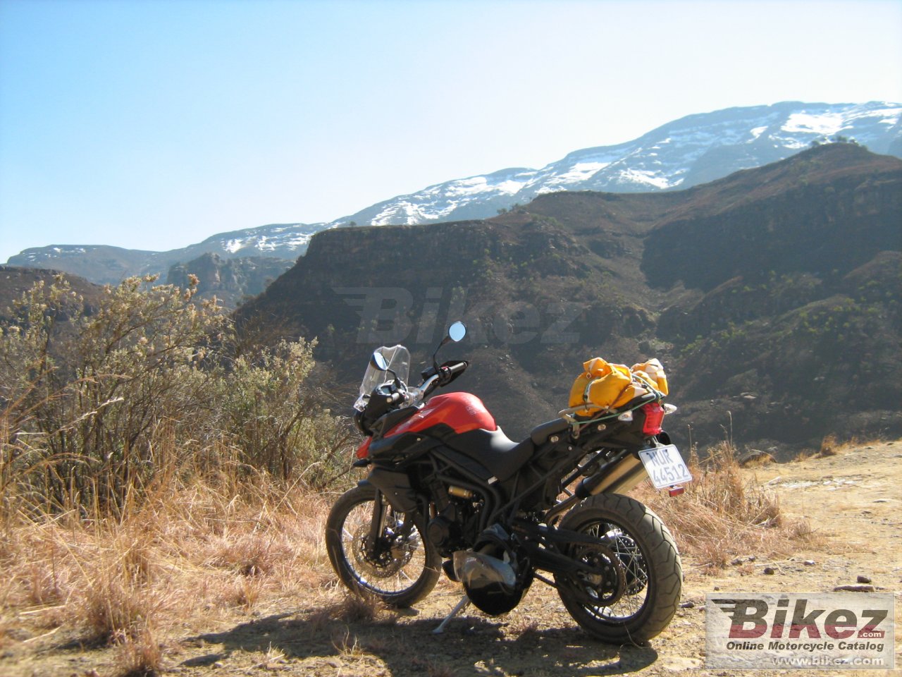 Thumbnail for Triumph Tiger 2009