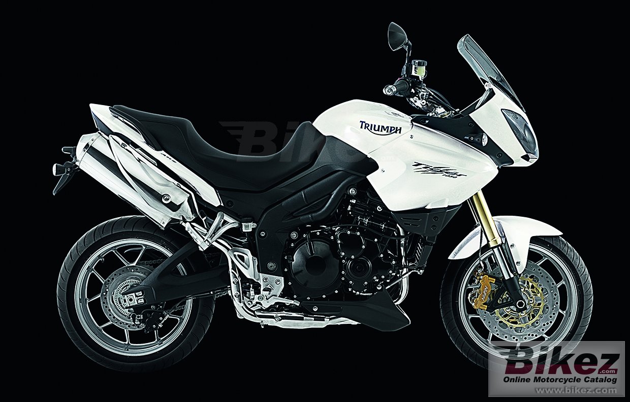 Thumbnail for Triumph Tiger 2010