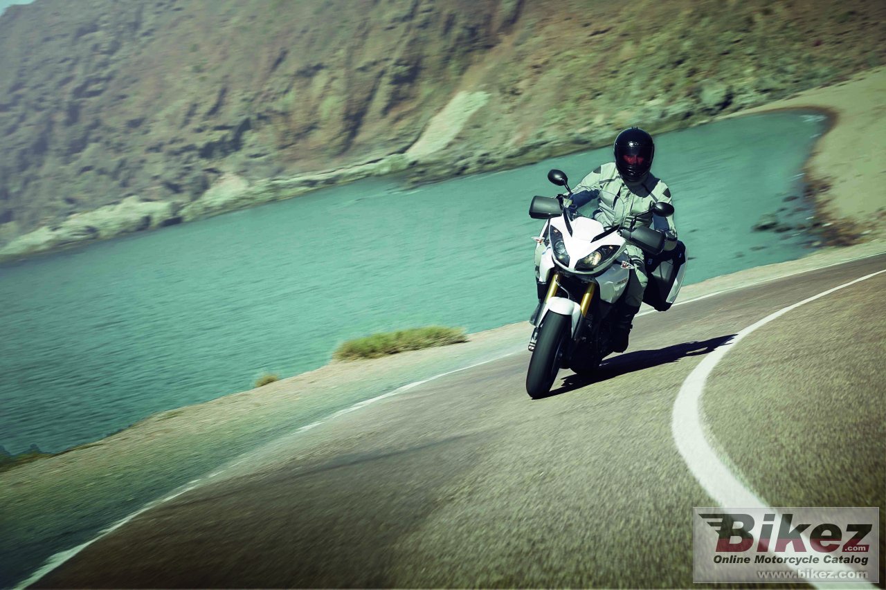 Thumbnail for Triumph Tiger 1050 SE 2013