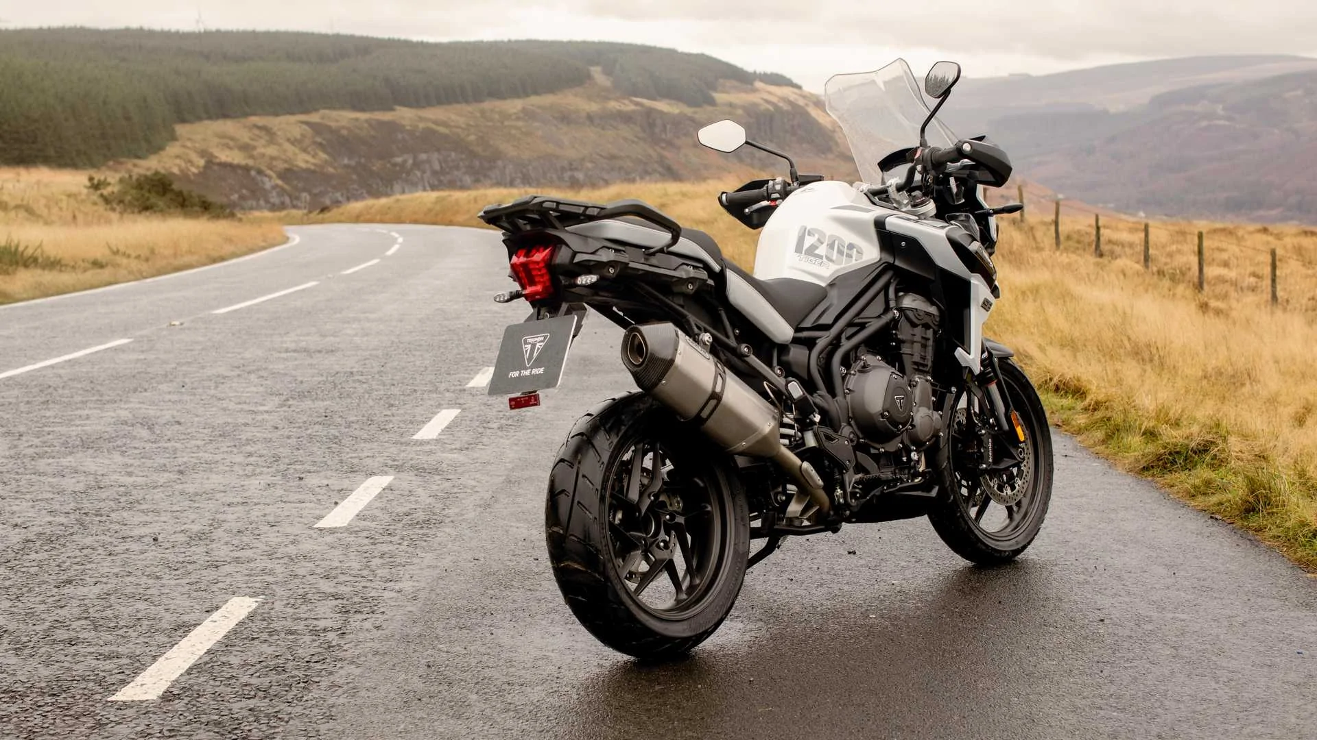 Thumbnail for Triumph Tiger 1200 Alpine Edition 2020