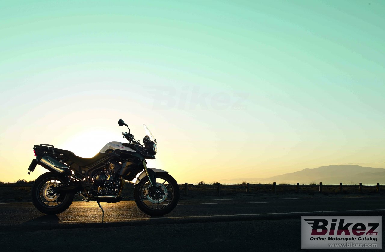 Thumbnail for Triumph Tiger 800 2013