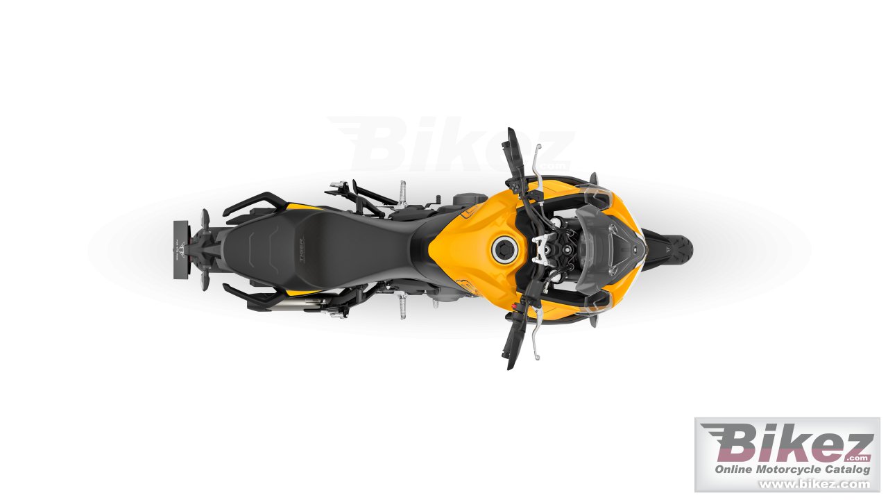 Thumbnail for Triumph Tiger 800 Sport 2025