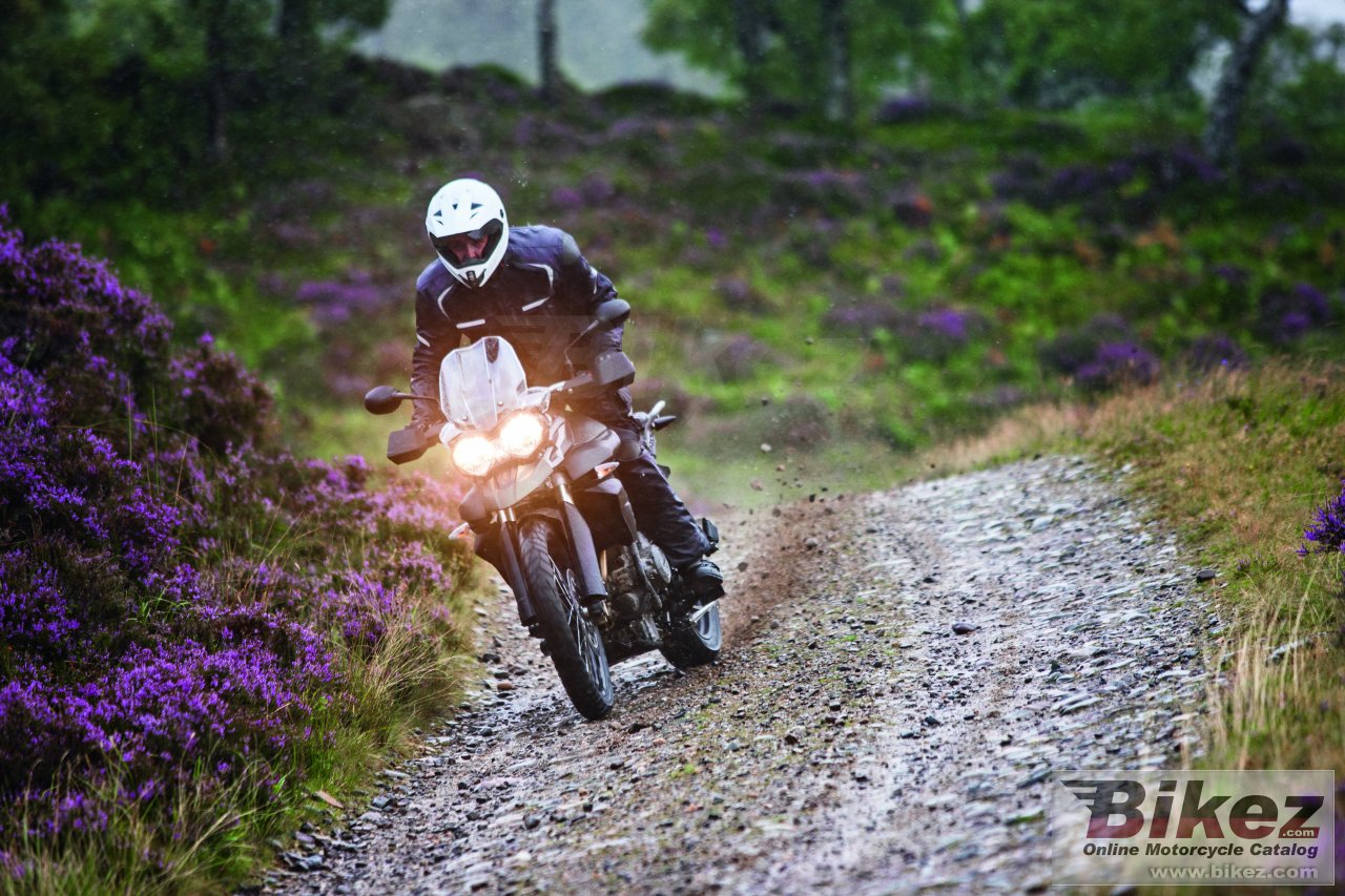 Thumbnail for Triumph Tiger 800 XC 2014