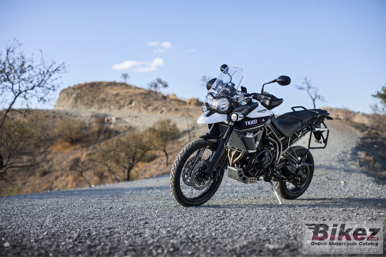 Thumbnail for Triumph Tiger 800 XCA 2016