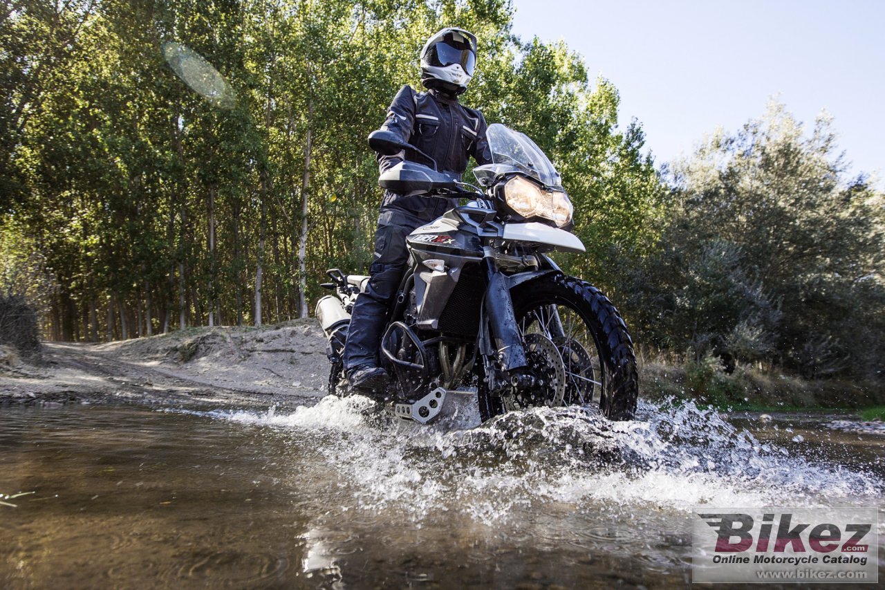 Thumbnail for Triumph Tiger 800 XCx 2017