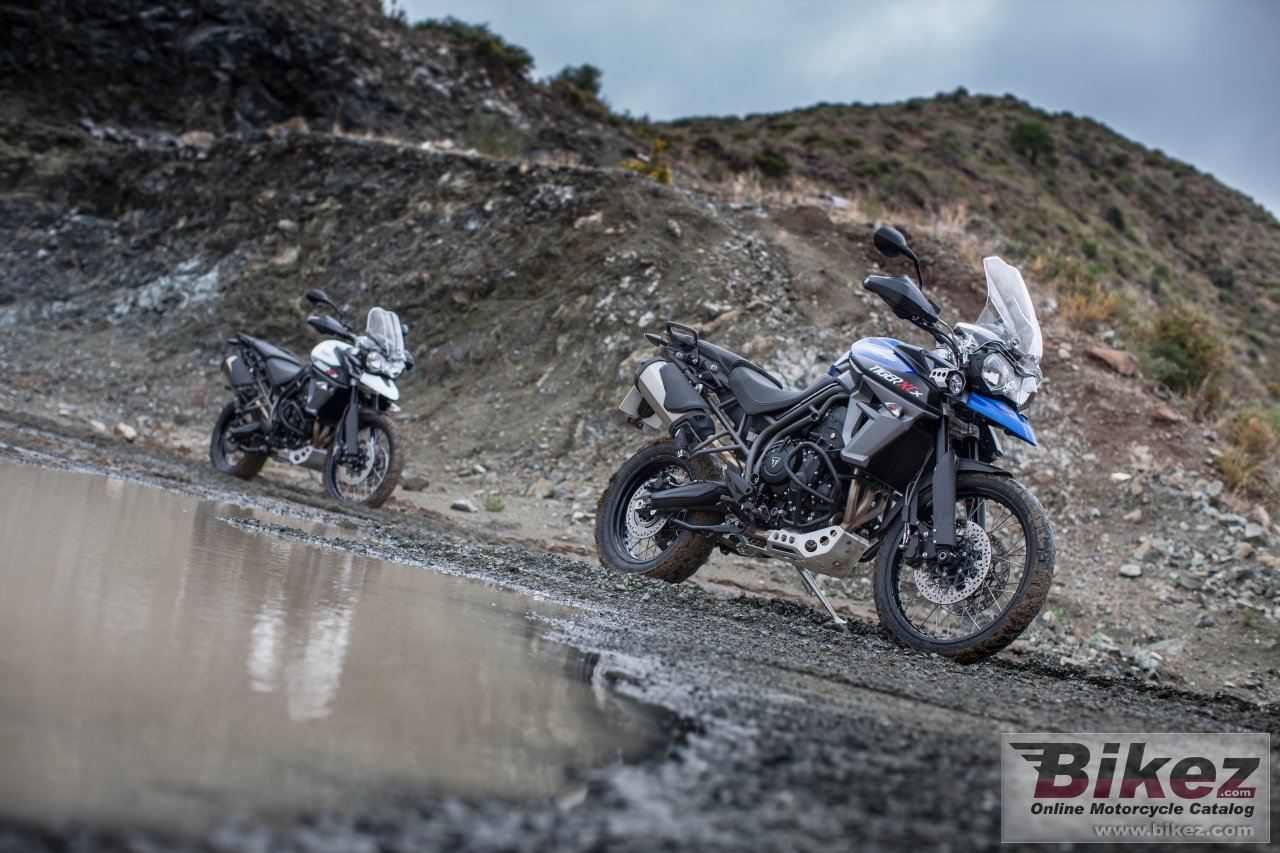 Thumbnail for Triumph Tiger 800 XCx 2017