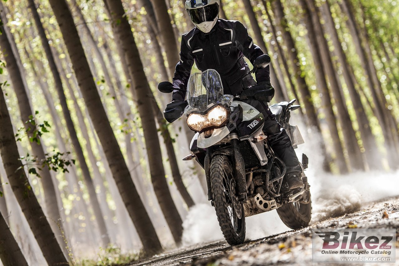 Thumbnail for Triumph Tiger 800 XCx 2017