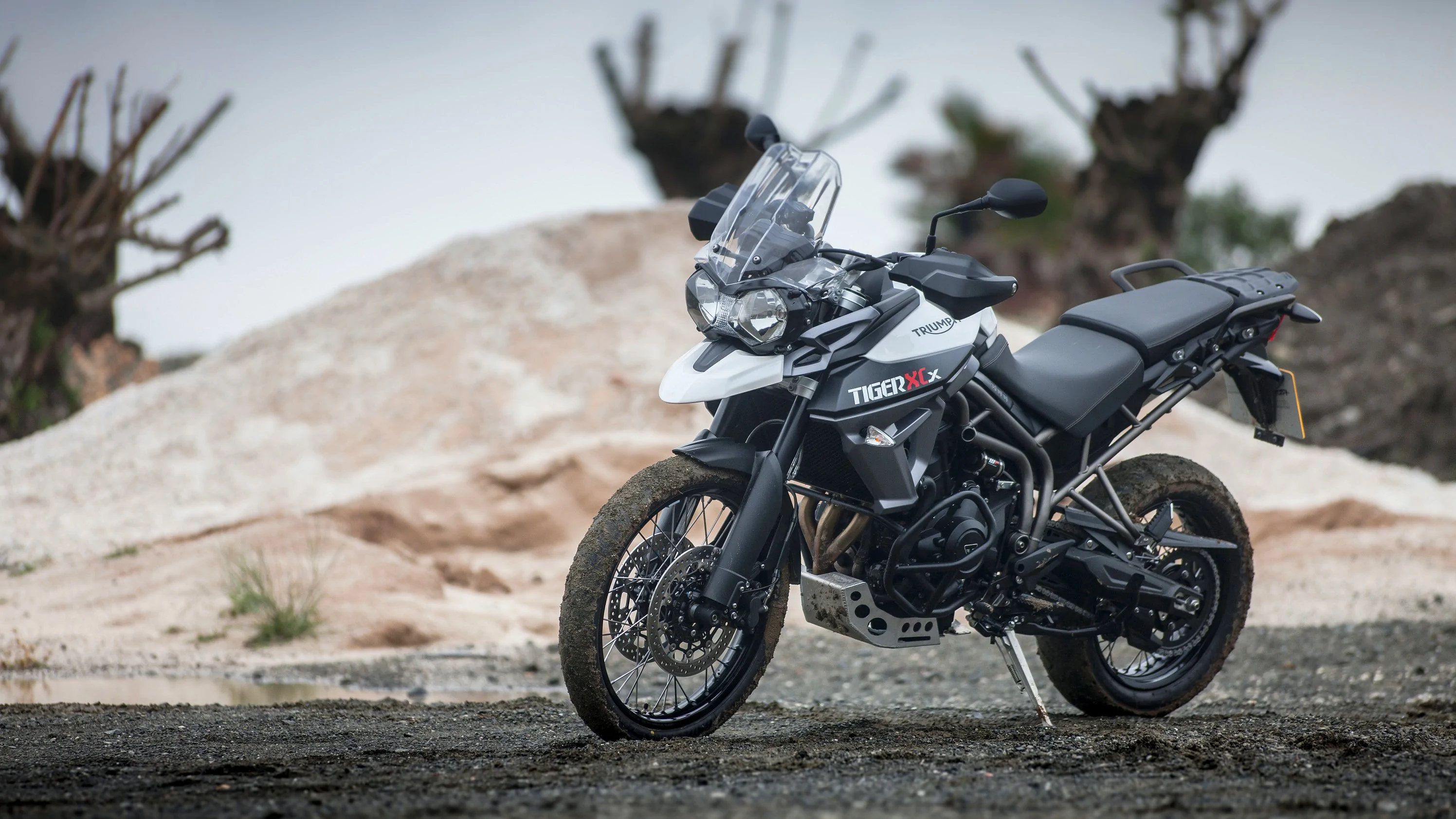 Thumbnail for Triumph Tiger 800 XCX 2019