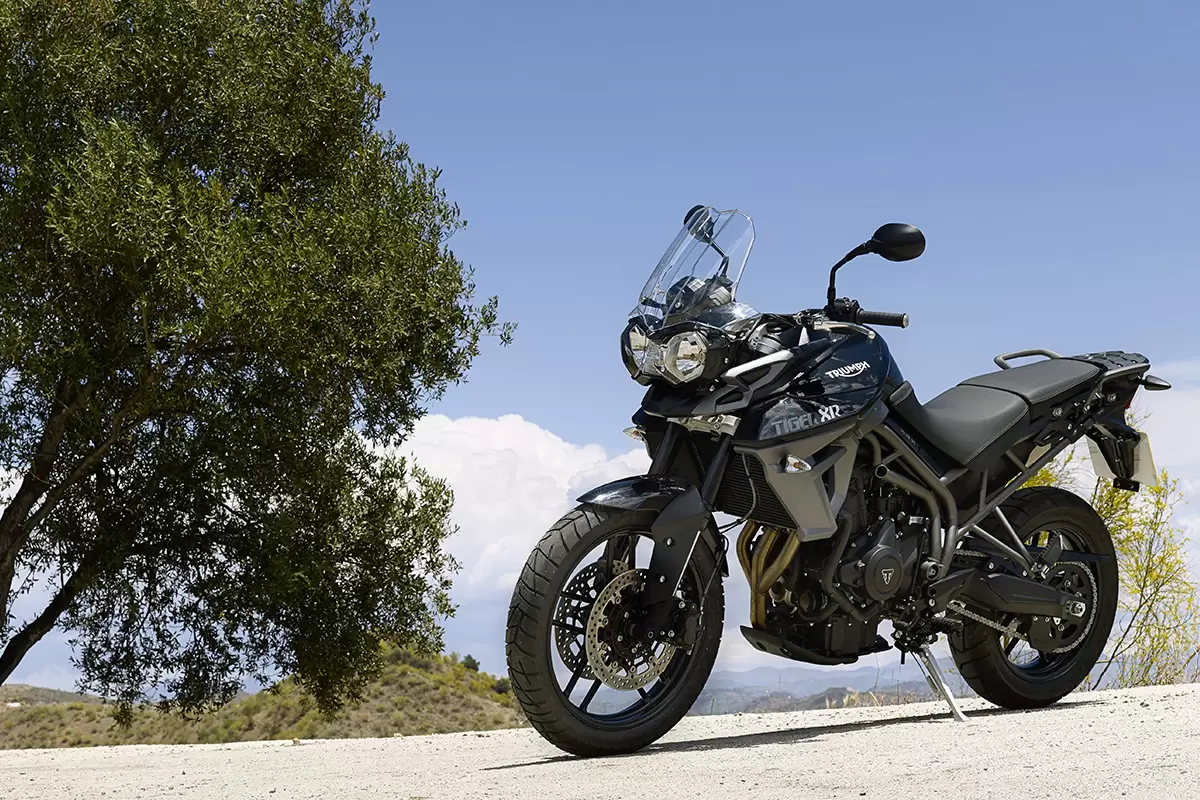 Thumbnail for Triumph Tiger 800 XR 2019