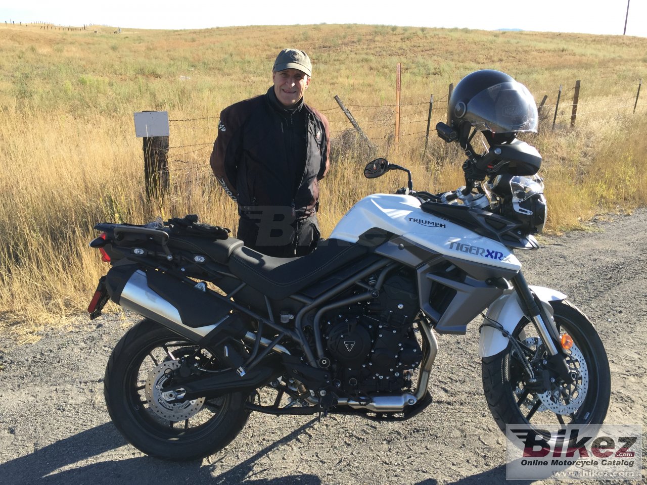 Thumbnail for Triumph Tiger 800 XRX 2016