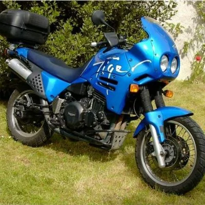 Thumbnail for Triumph Tiger 900 1995