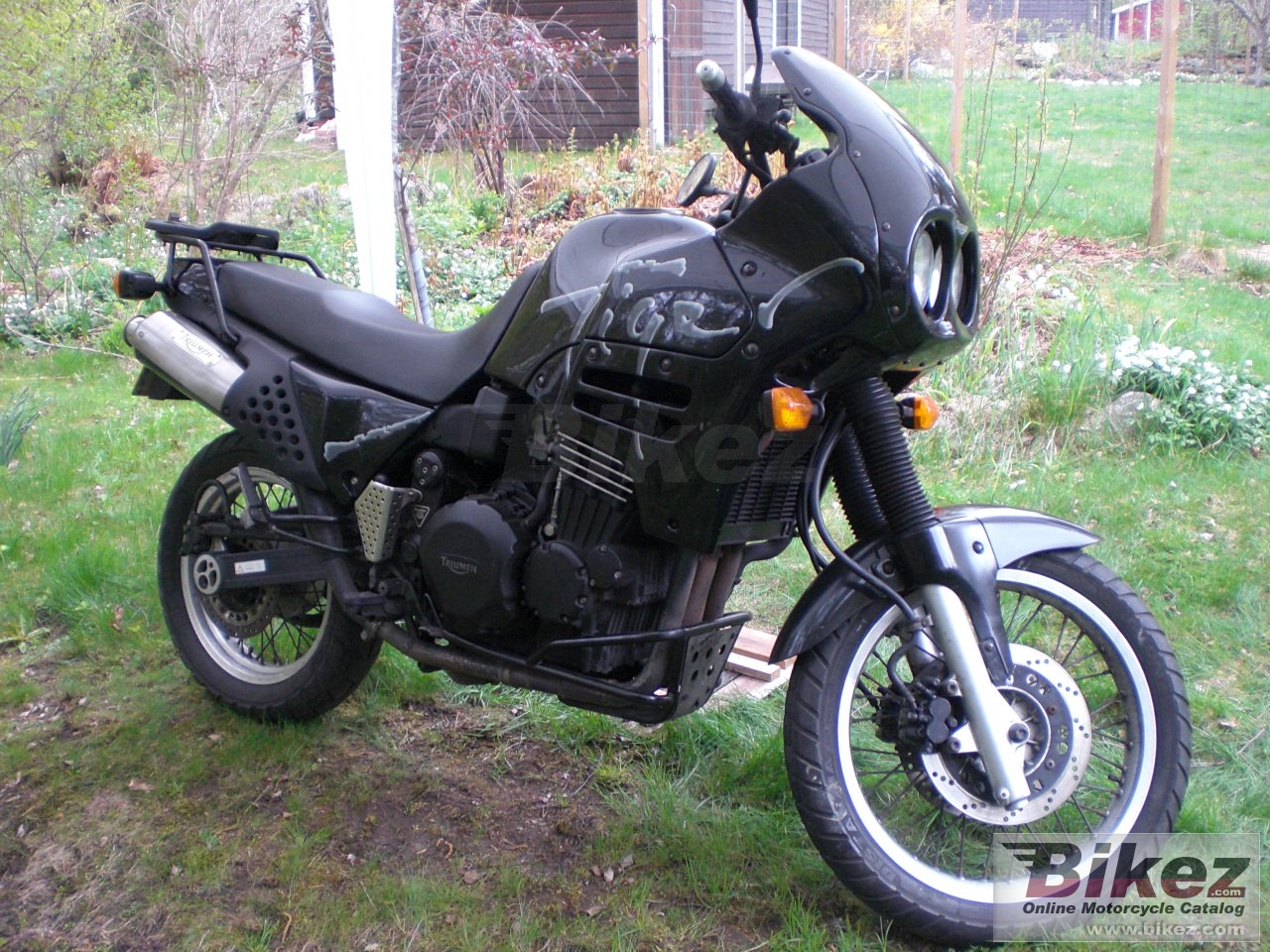 Thumbnail for Triumph Tiger 900 1995